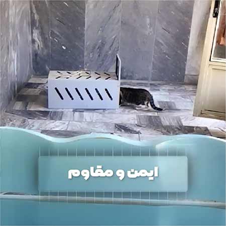 تله گربه گیر CAT TRAP