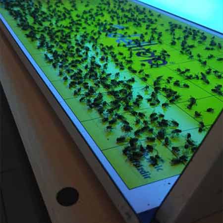 تله چسبی دلترپ حشرات 30 * 60 Deltrap