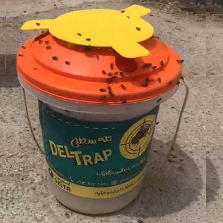 تله سطلی مگسdeltrap  با پودر جاذب راسیون
