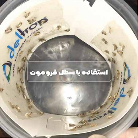 فرومون جذب شپشه هندی با تله چسبی پروانه (guve feromunu)