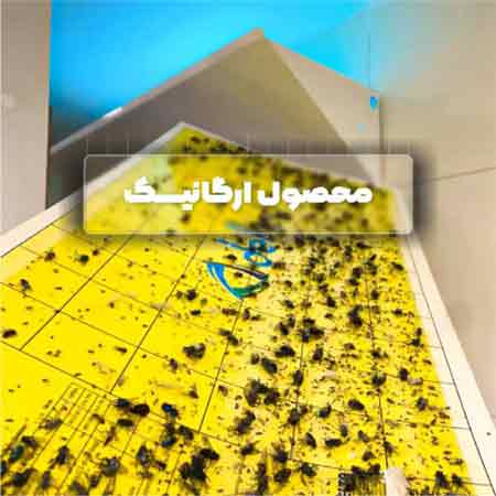 تله چسبی دلترپ حشرات 30 * 60 Deltrap