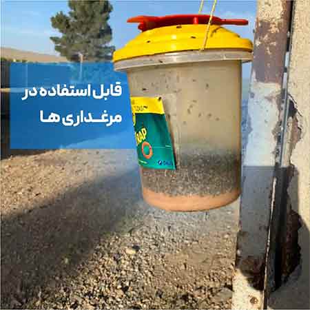 تله سطلی مگسdeltrap  با پودر جاذب راسیون