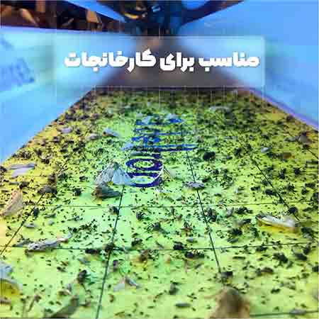 دستگاه حشره کش برقی با تله چسبی  deltrap مدل سقفی استیل SS2120