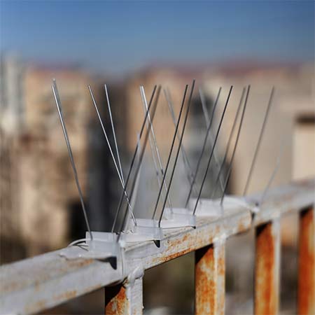 قیمت و خرید پرنده پران نشینک-دور کردن پرندگان از باغ -