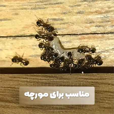 ژل سوسک کش فیبروکیل 35 گرمی (fibrokill)