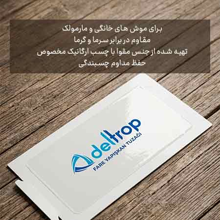 تله چسبی موش و مارمولک