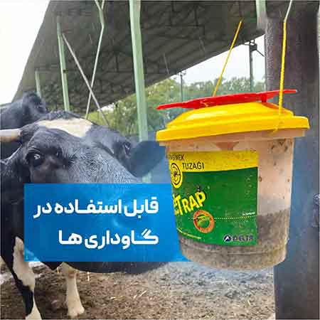 تله سطلی مگسdeltrap  با پودر جاذب راسیون