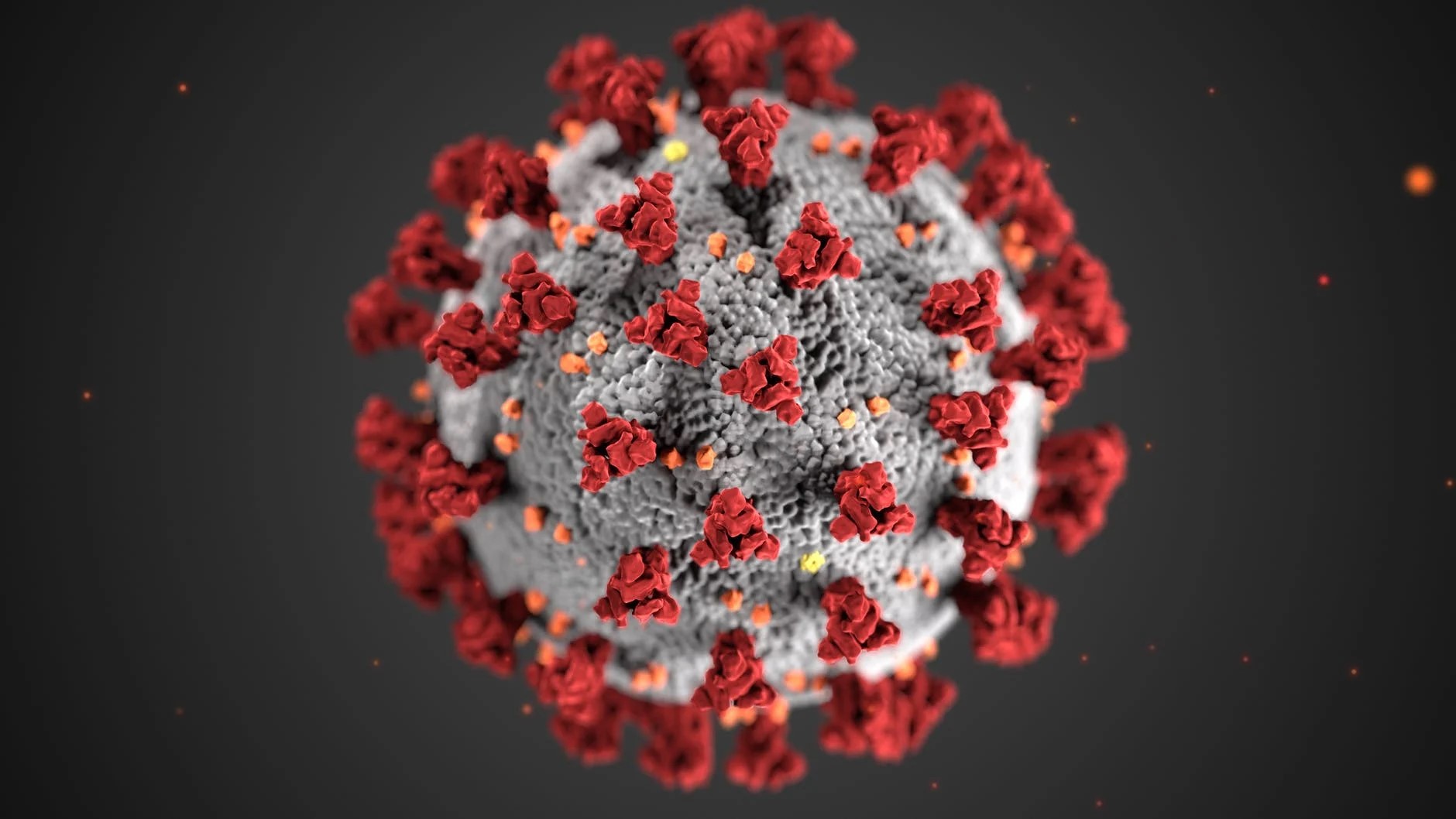 کوید چیست و بیماری کرونا ویروس چه نوع بیماری می باشد