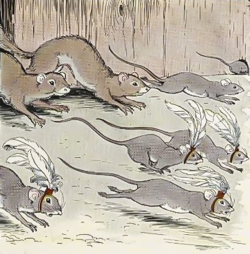 خطرات موش ها برای انسان ها
