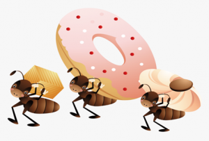 مورچه های شیرینی بر